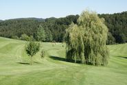 DSC00647