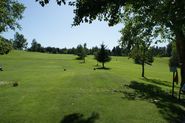 DSC00696