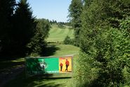 DSC00617