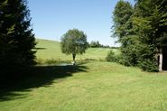 DSC00619