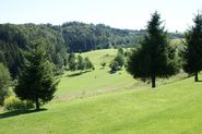 DSC00487